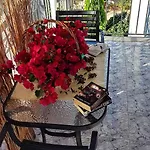 شقة Panorama