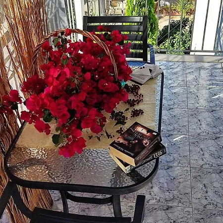 Διαμέρισμα πανόραμα